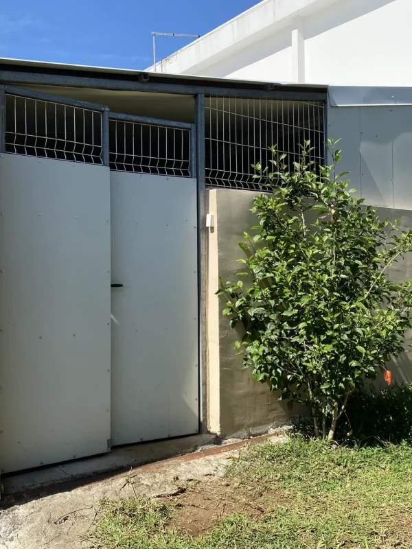 Capture d’écran 2024-03-27 à 09.51.23