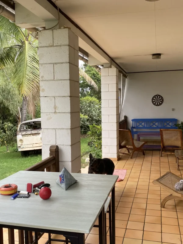 b9f3f3_a57951c11ed54431a2140441c16df6fe~mv2